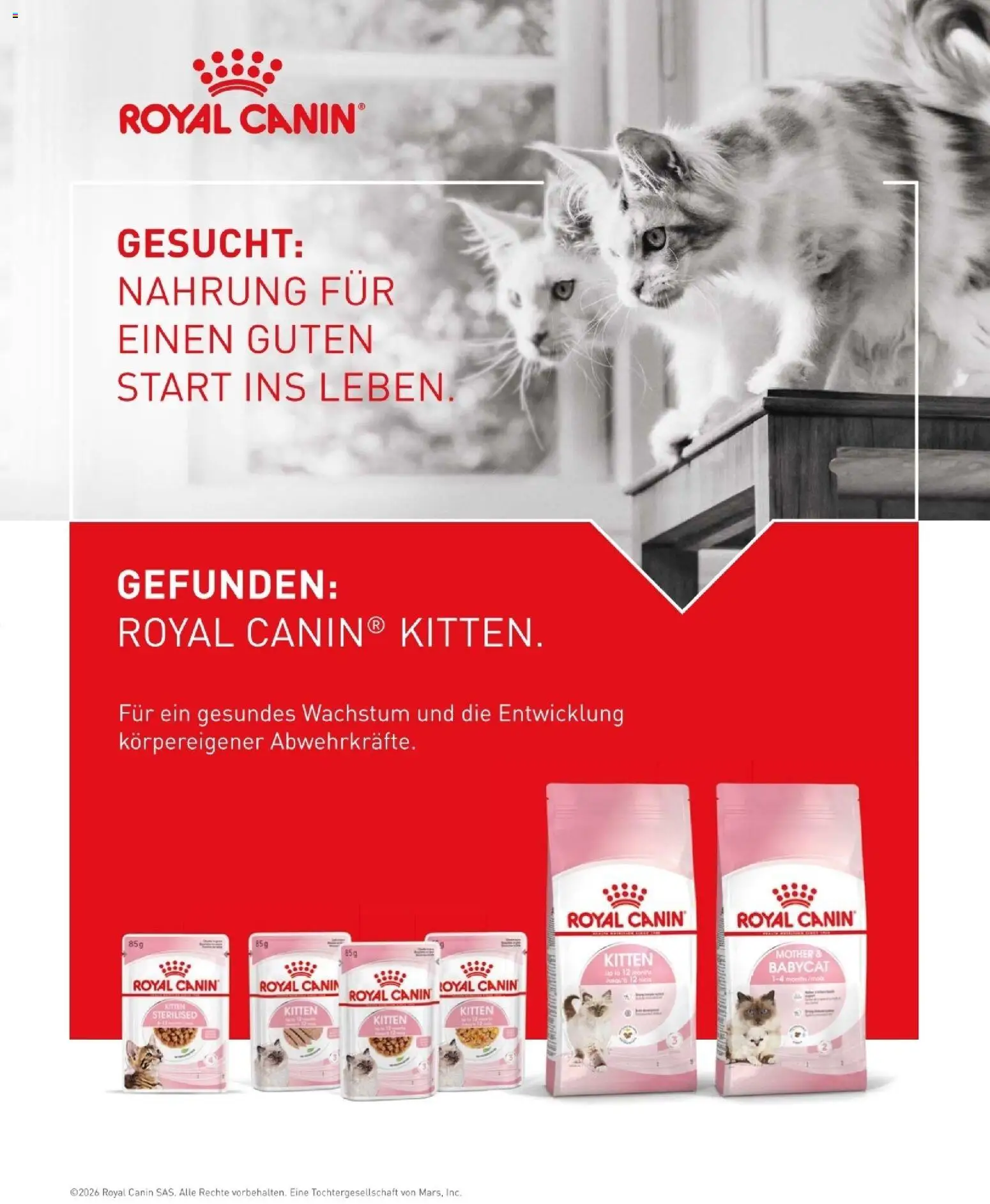 Fressnapf Friends 02/26 gültig ab 01.03.2026 | Seite: 29