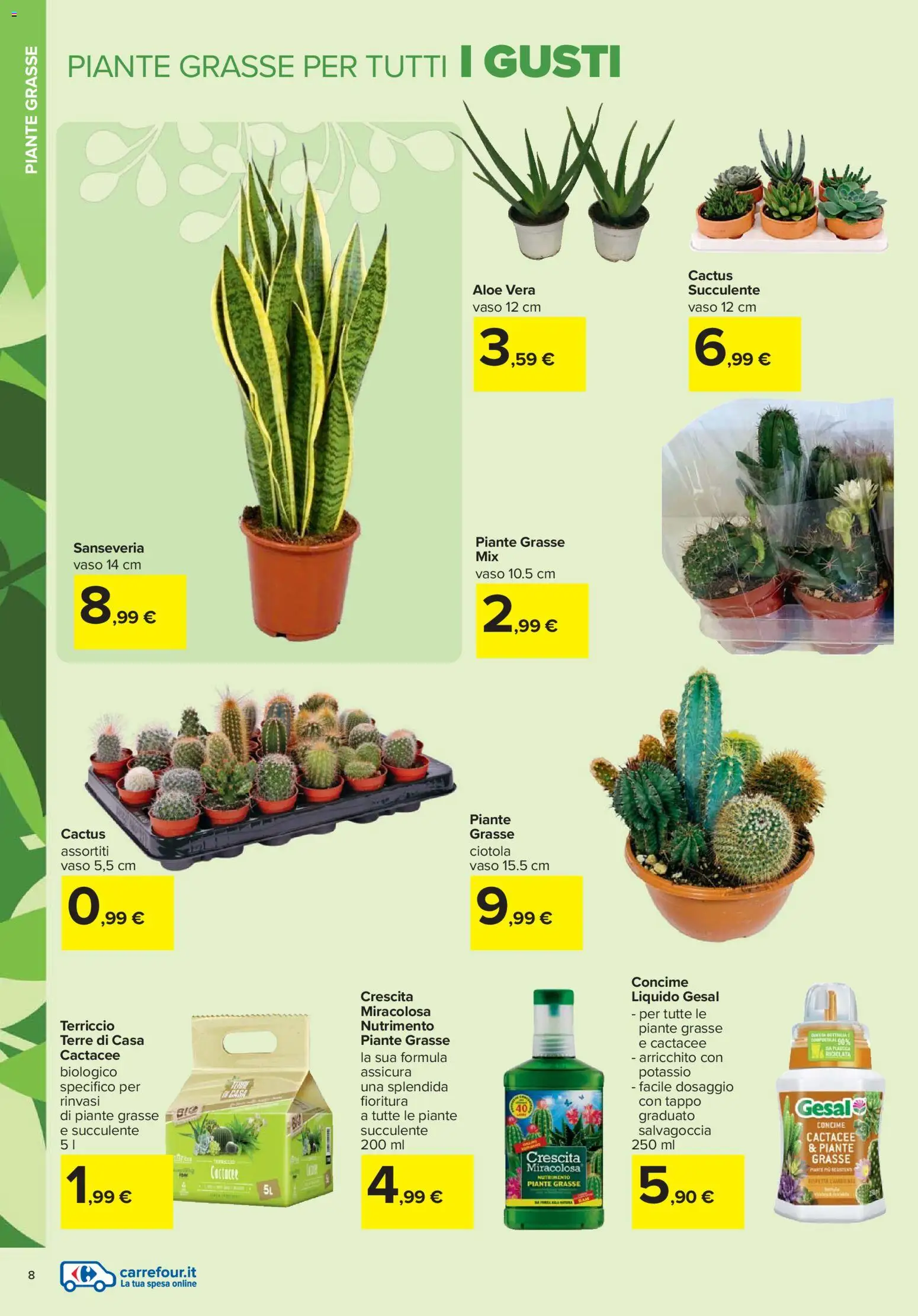 Volantino Carrefour del 19.02.2026 | Pagina: 8 | Prodotti: Concime, Cactus, Aloe vera, Ciotola