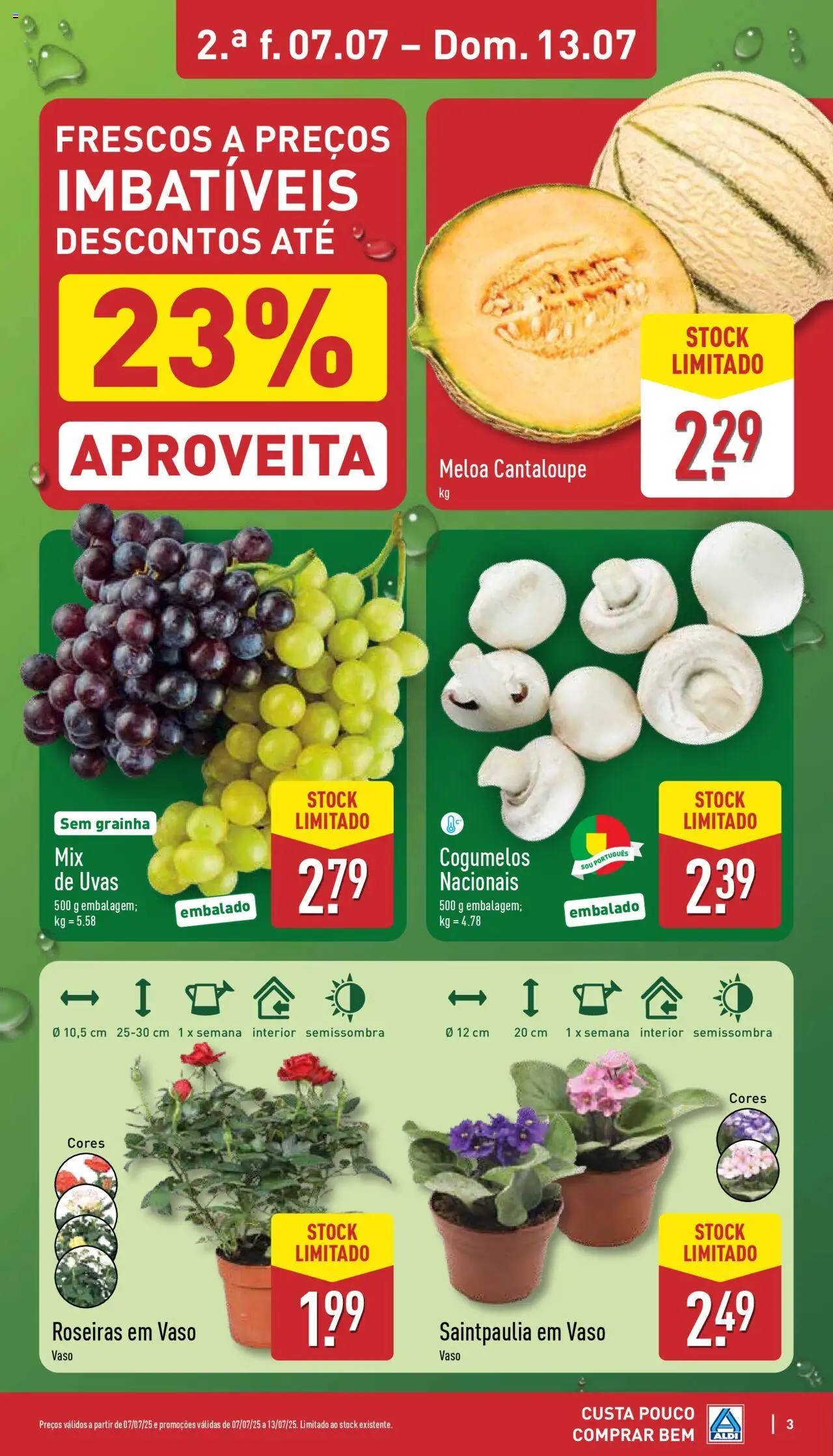 Aldi folheto │ válido de 07.07.2025 | Página: 3 | Produtos: Vaso, Cogumelos, Uvas