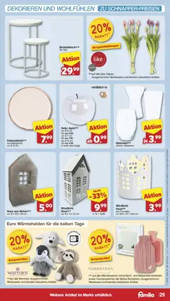 Famila Nordwest Prospekt 	 ab 19.01.2026 gültig | Seite: 29