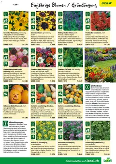 Landi ( Deaktivovane pre Letakomat )  Aktionen ab 07.01.2026 gültig | Seite: 31