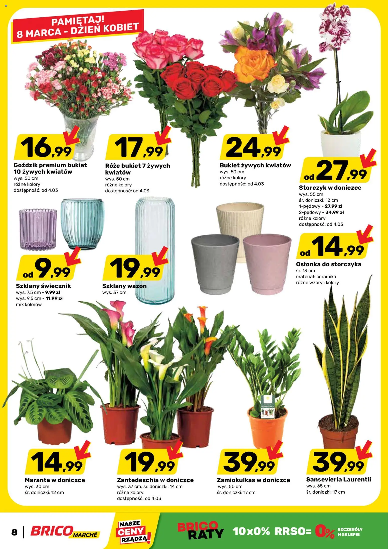 Brico Marché Gazetka od 25.02.2026 | Strona: 8 | Produkty: Zamiokulkas, Goździk, Doniczki, Storczyk