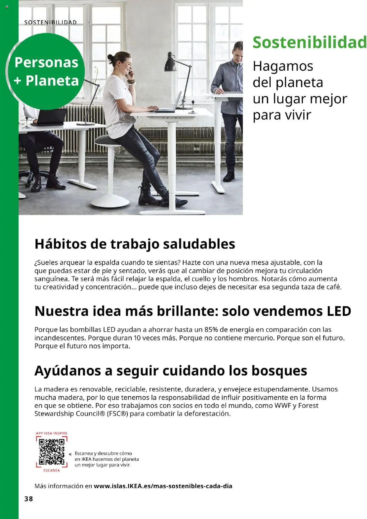 Catálogo IKEA para tu negocio │ válido desde el 04.02.2025 | Página: 38 | Productos: Té, Mesa