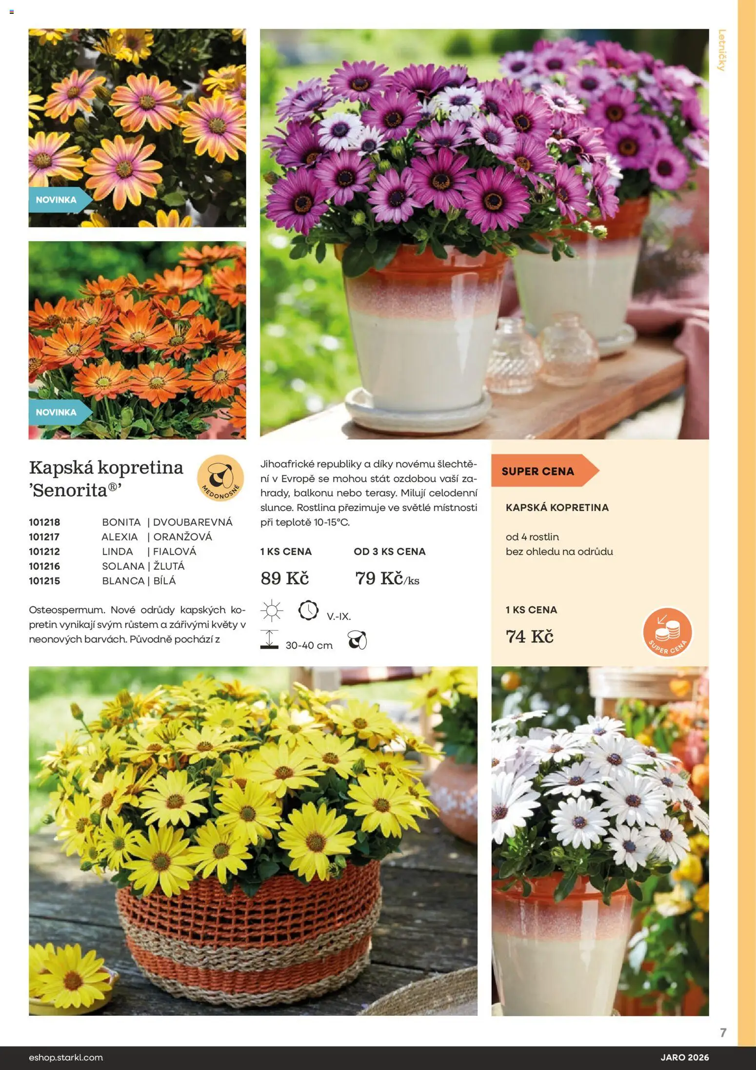 Starkl katalog Jaro 2026 od 25.02.2026 | Strana: 7