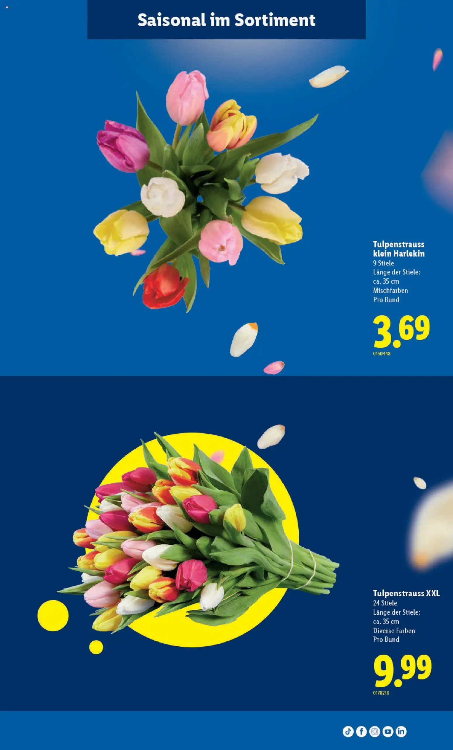 Lidl aktionen – gültig ab 30.04.2026 | Seite: 7