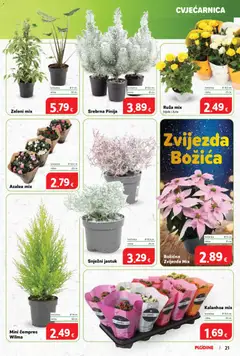 Plodine - Katalog - Pregled kataloga iz trgovine Plodine, vrijedi od 05.11.2025 | Stranica: 21