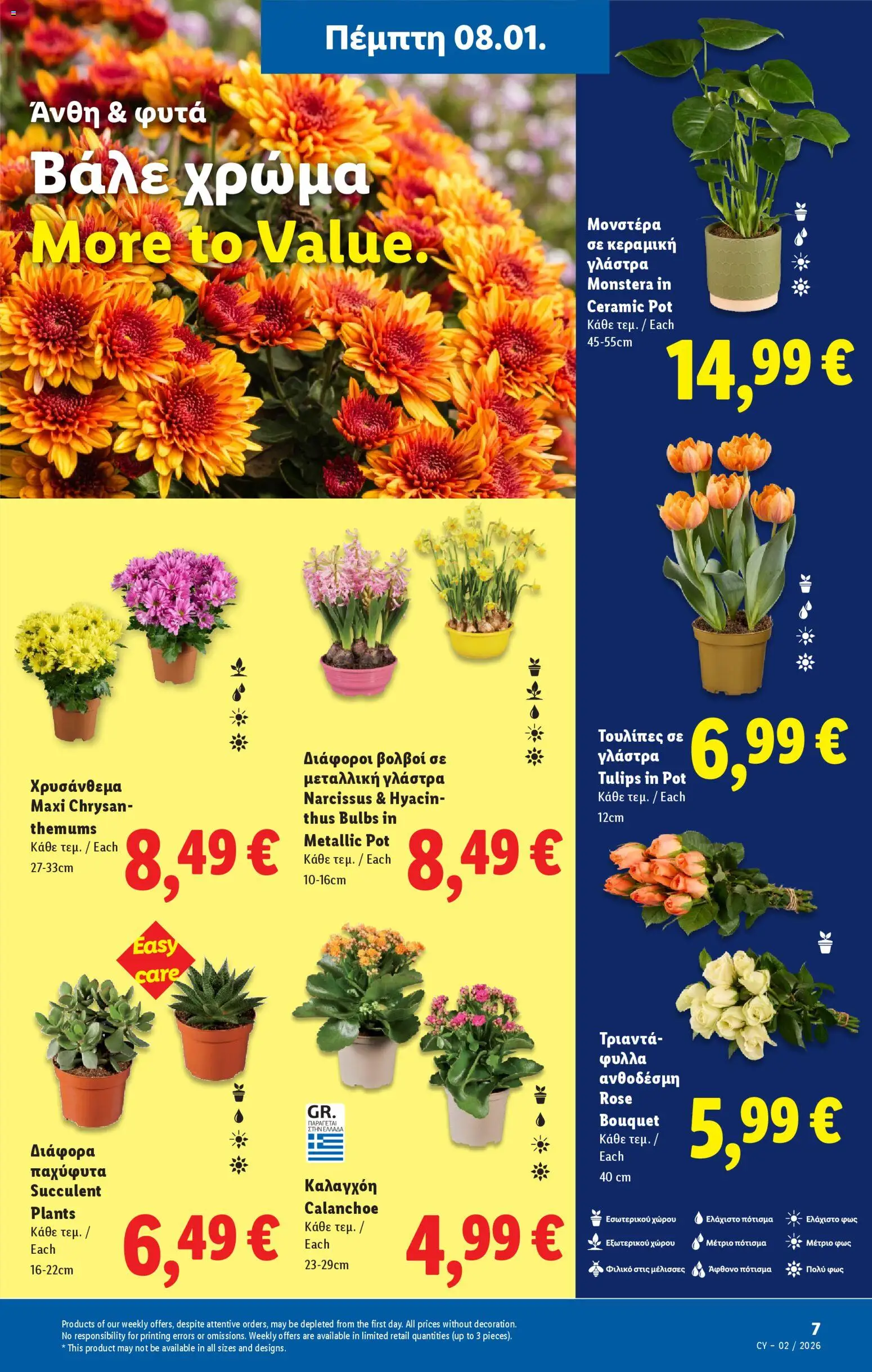 Lidl - Φυλλάδιο – σε ισχύ από 08.01.2026 | Σελίδα: 33