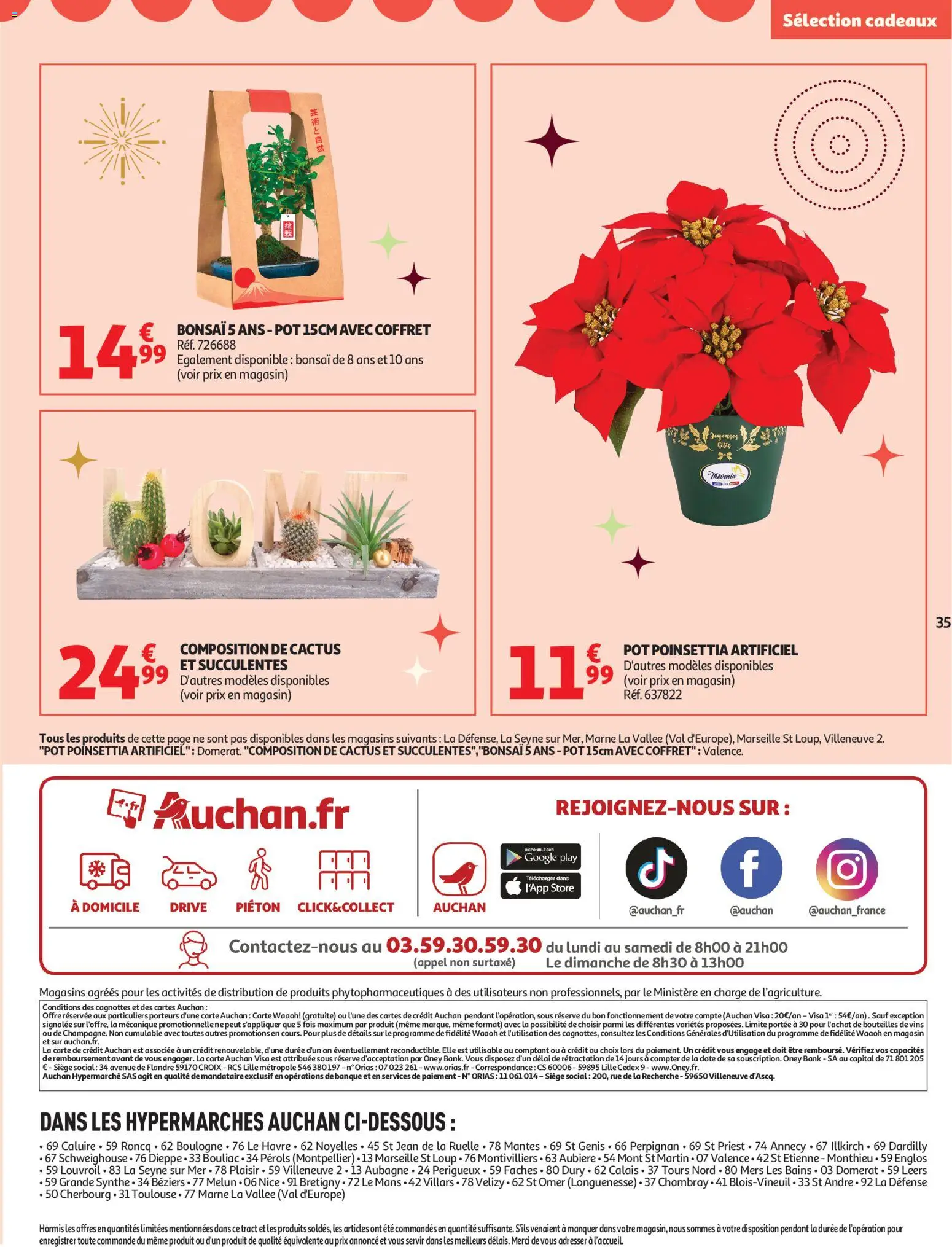 {H1} | Page: 35 | Produits: Bonsai, Poinsettia, Store