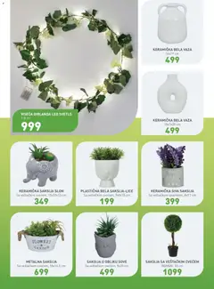 JUMBO katalog - pregled JUMBO kataloga - važi od 13.03.2026 | Strana: 13 | Proizvode: Saksija, Vaza