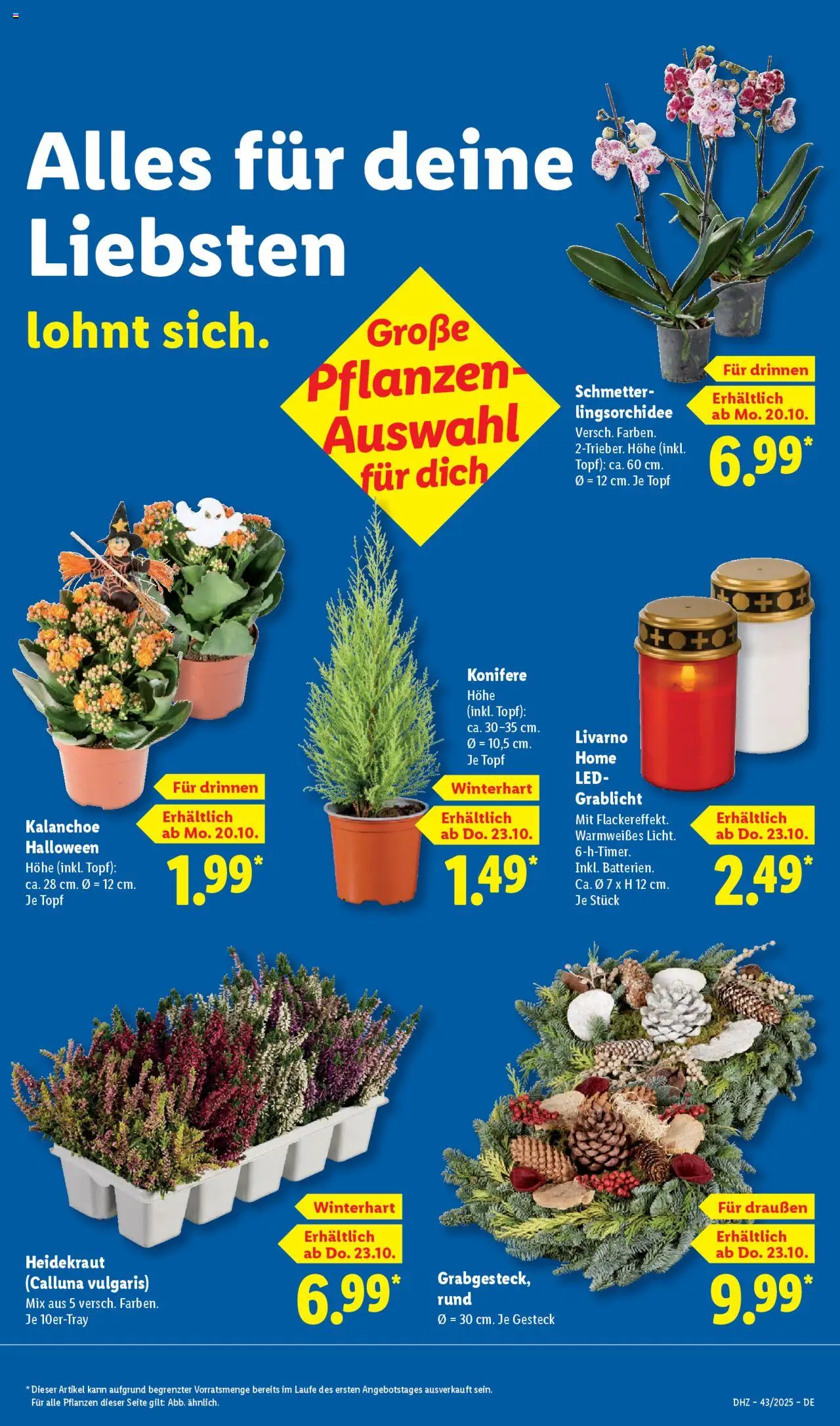 Lidl Prospekt Kornwestheim – gültig ab 20.10.2025 | Seite: 49