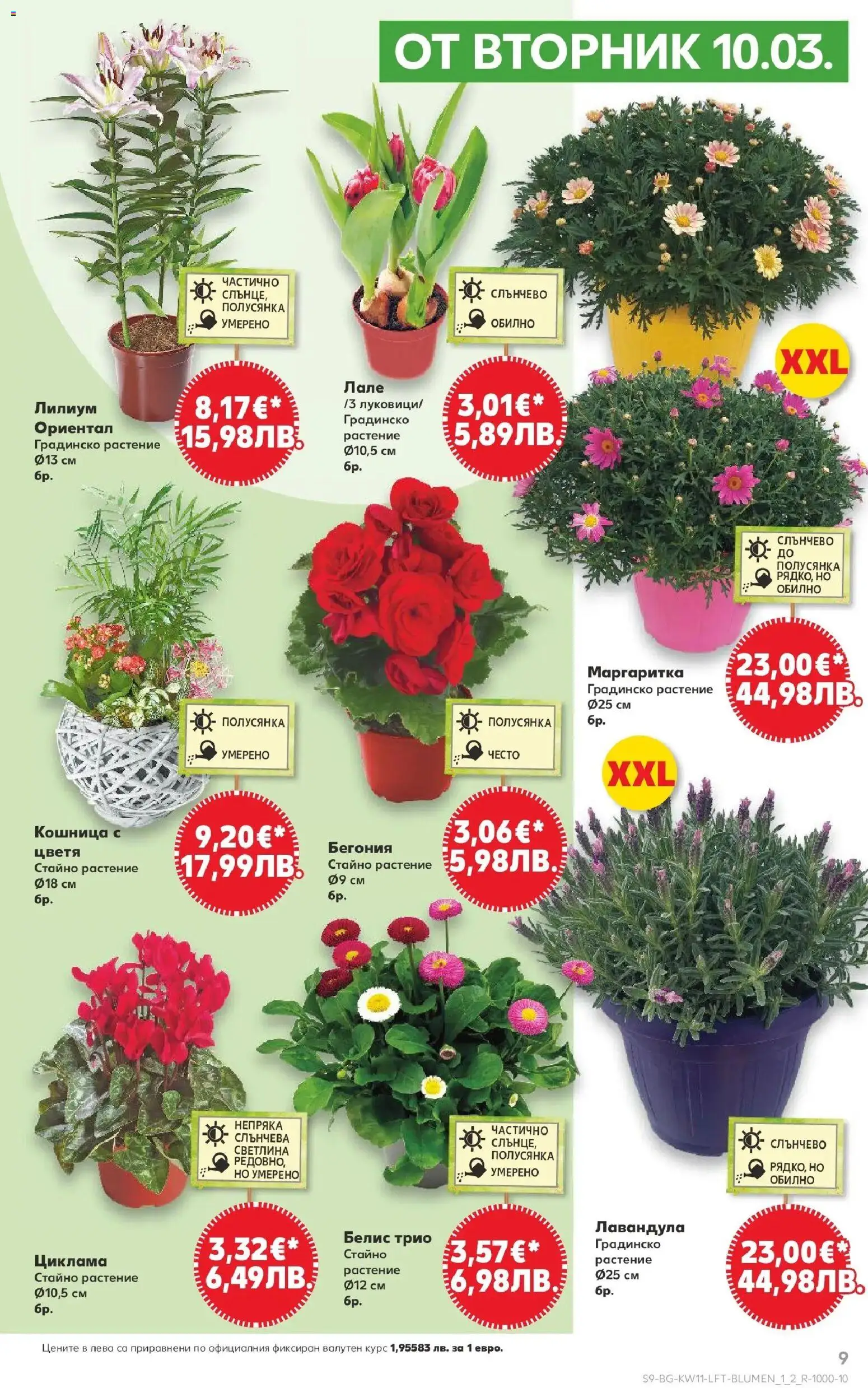 {H1} | Страница: 9 | Продукти: Кошница