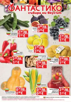  | Страница: 32 | Продукти: Мрежа, Тиква, Тв, Гъби
