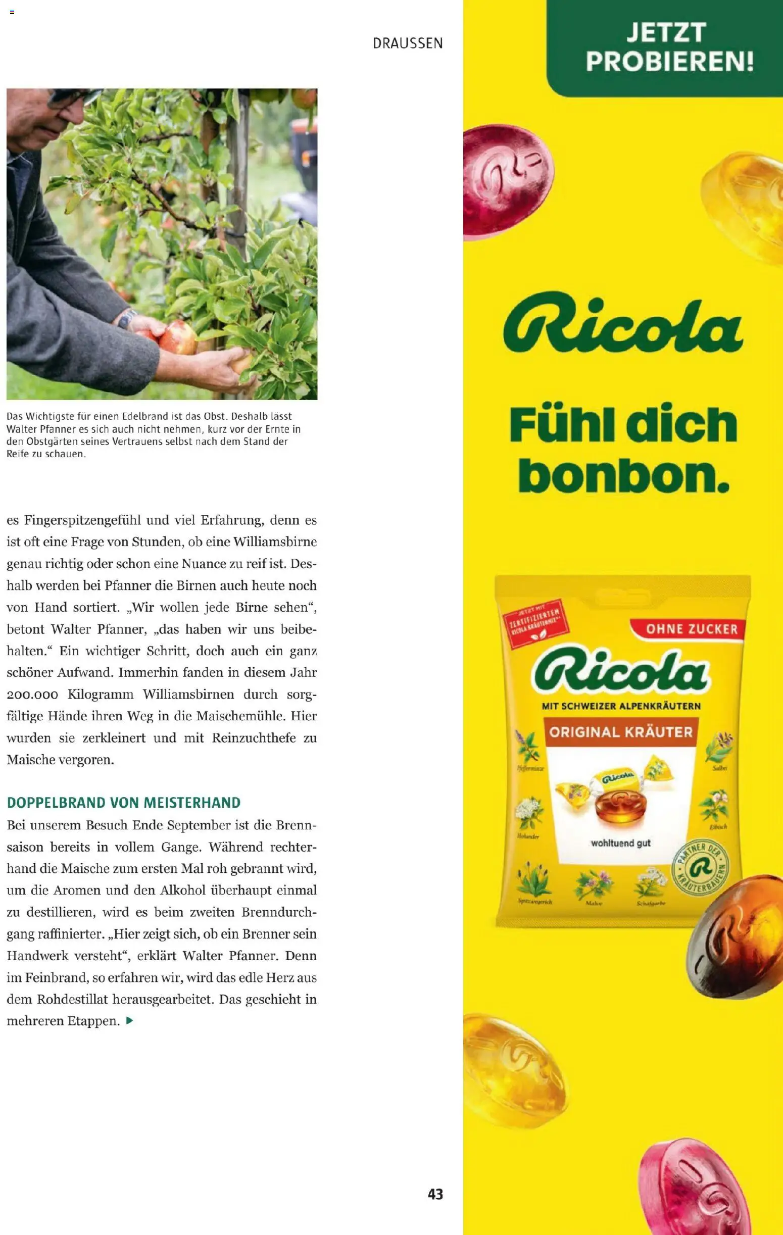 Sutterlüty B’sundrig Magazine gültig ab 17.11.2025 | Seite: 43 | Produkte: Zucker, Birne
