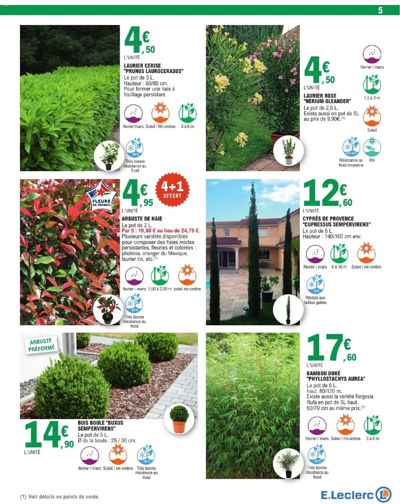 {H1} | Page: 5 | Produits: Laurier Rose