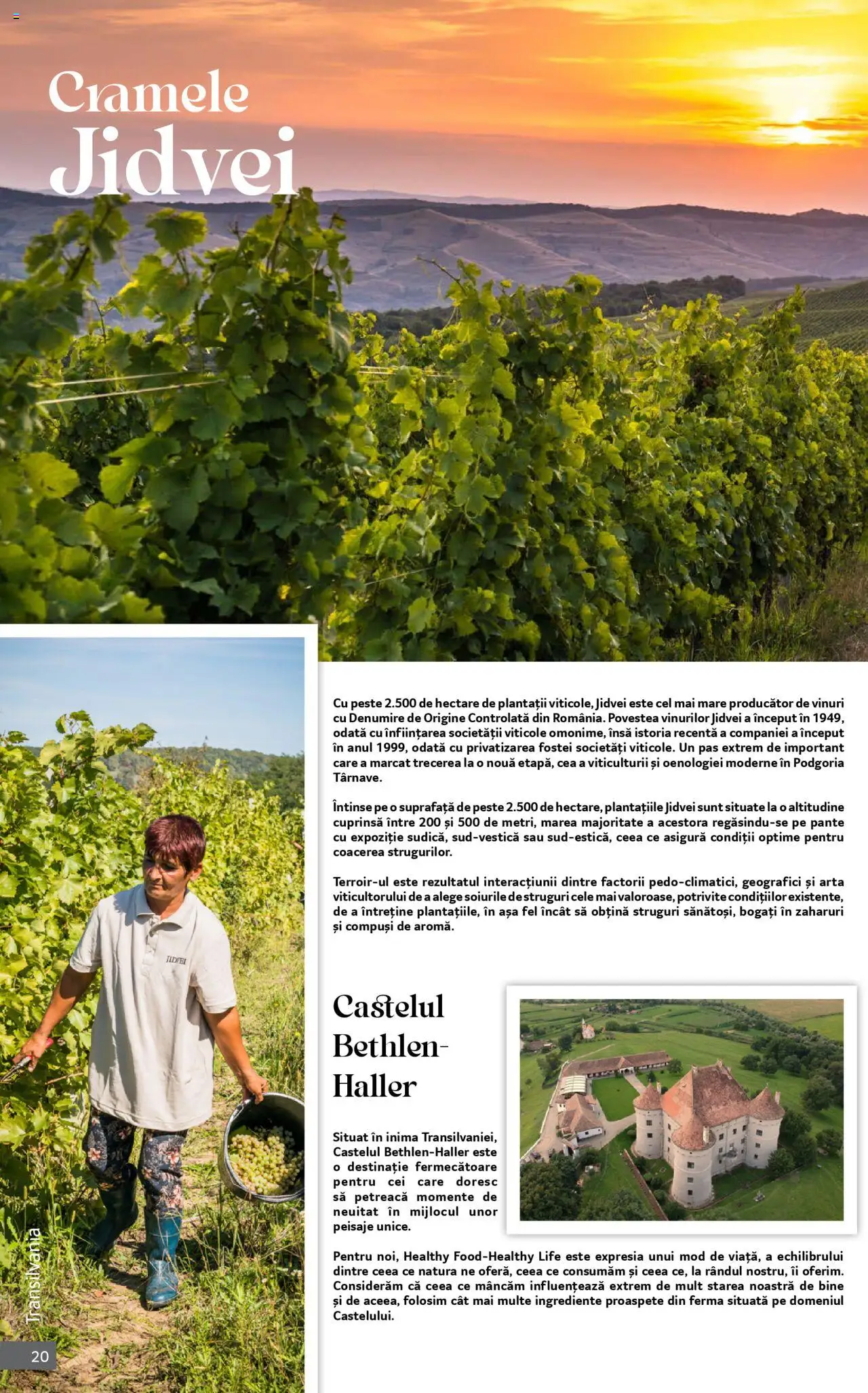 Noul catalog Selgros – valabil de la 01.10.2025 | Pagină: 20 | Produse: Struguri, Pește