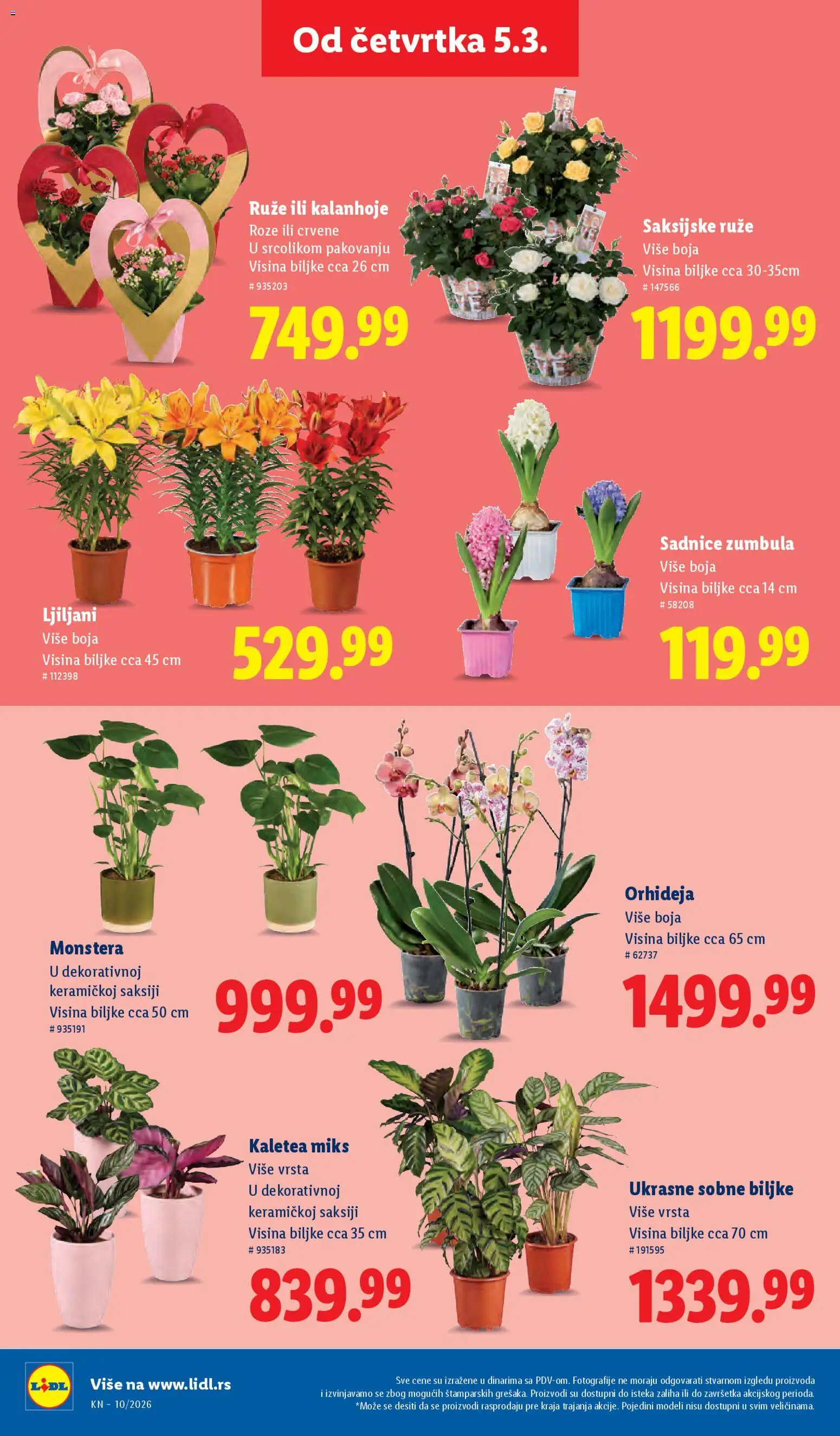 Lidl katalog - važi od 05.03.2026 | Strana: 74