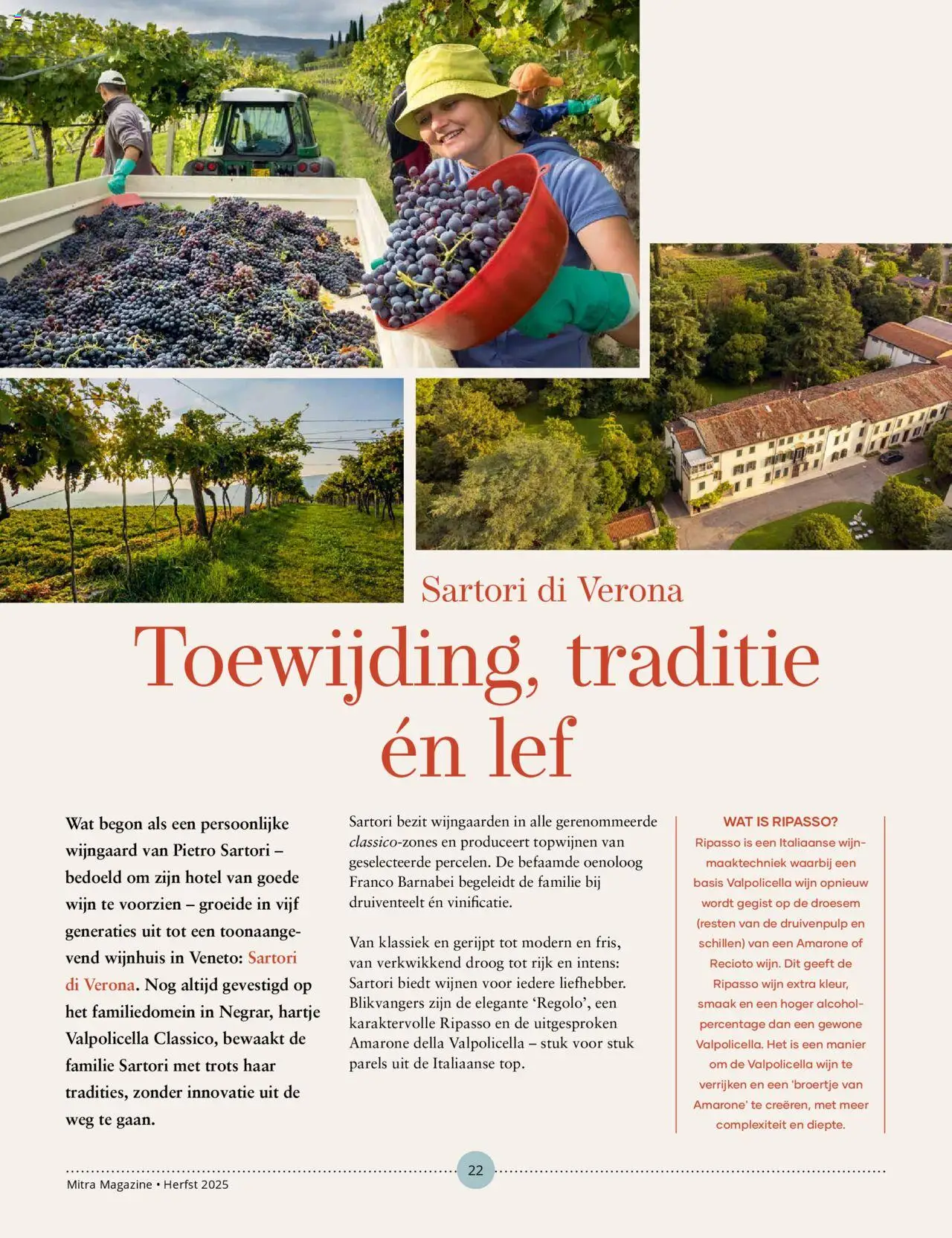  | Pagina: 22 | Producten: Wijn, Alcohol