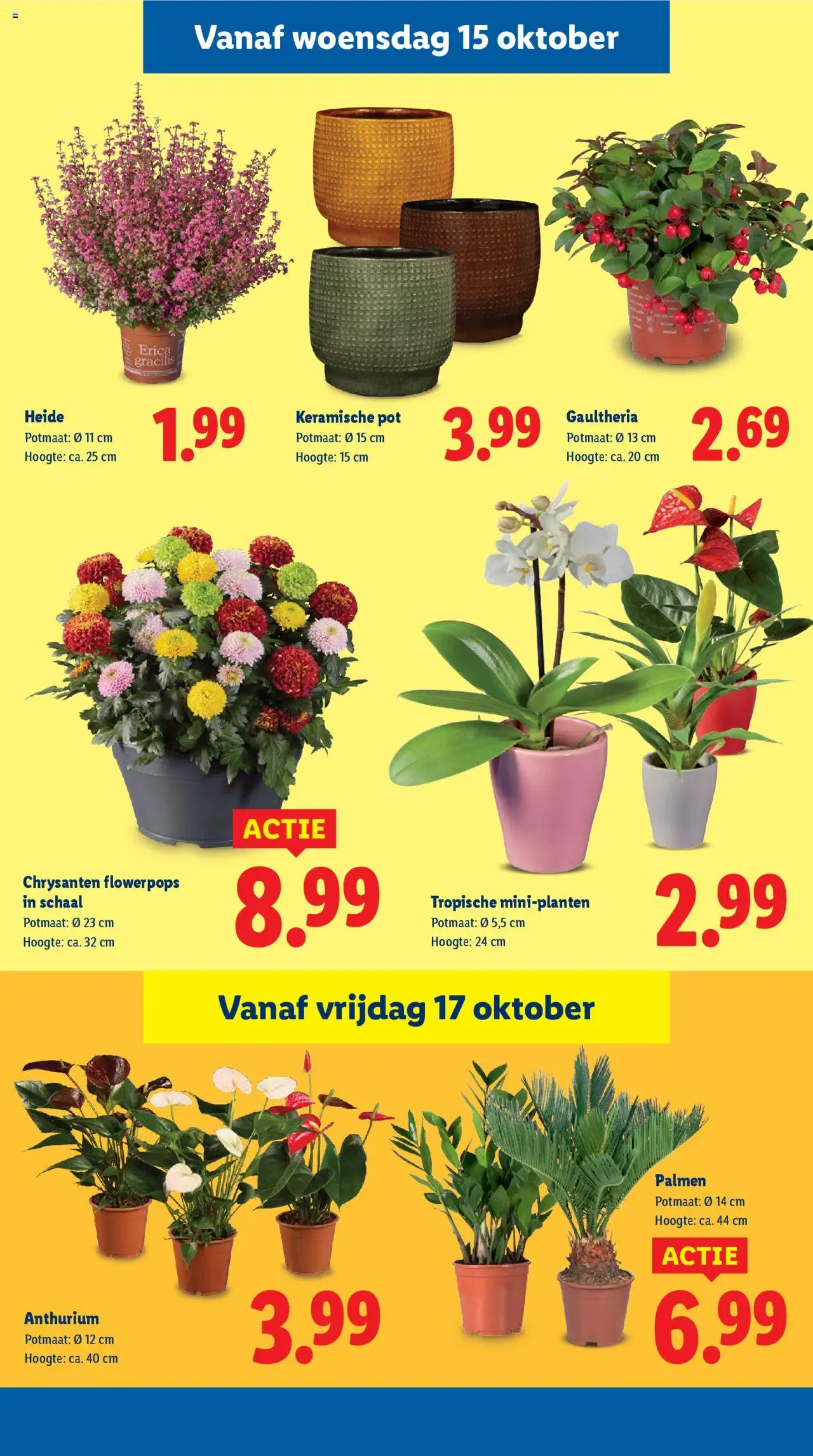 {H1} | Pagina: 29 | Producten: Pot, Schaal