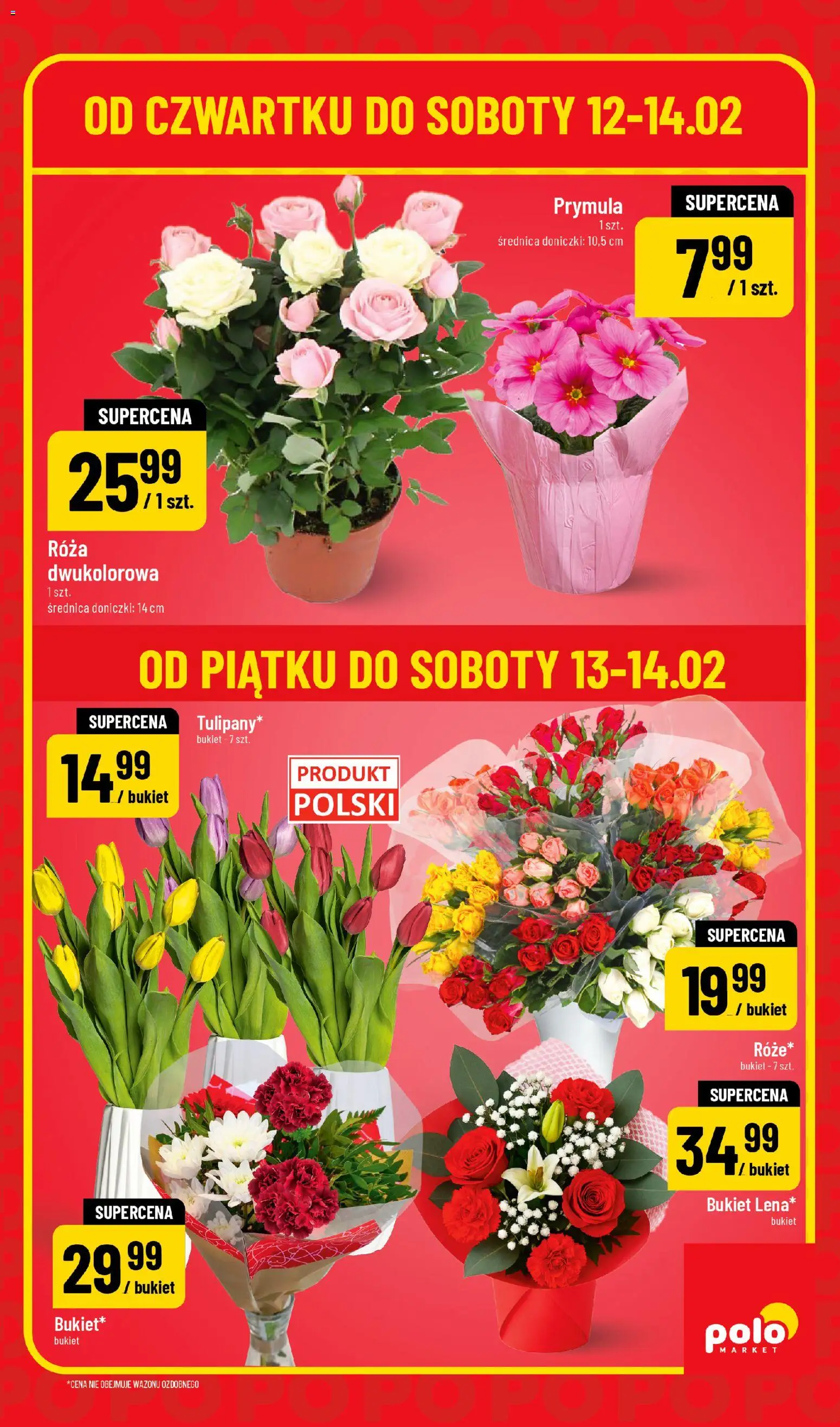 POLOmarket Gazetka - Super Hity od 12.02.2026 | Strona: 3 | Produkty: Doniczki
