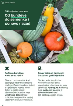 Lidl katalog - važi od 03.09.2025 | Strana: 8 | Proizvode: Nož
