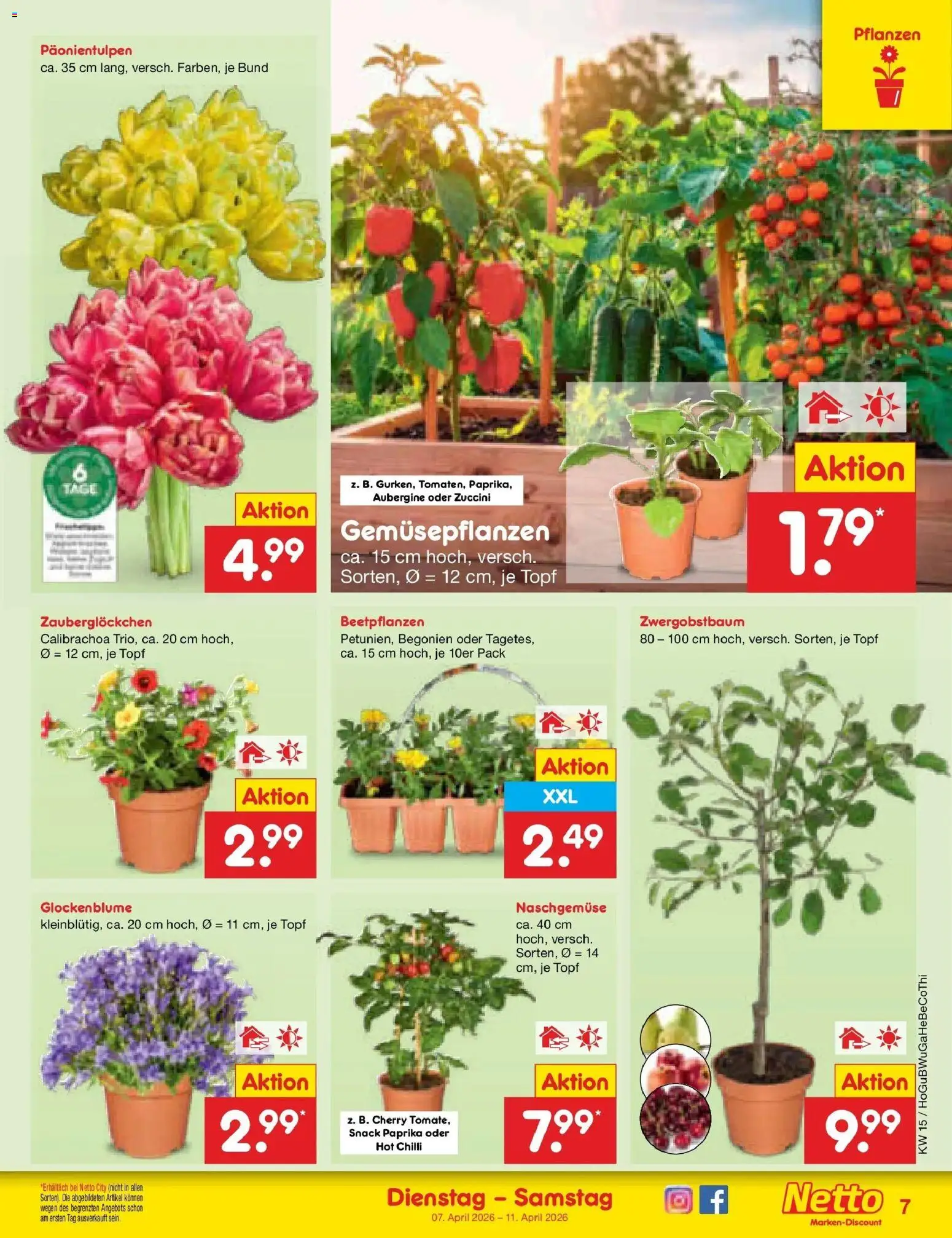 Netto Marken-Discount Prospekt Thiendorf	 – gültig ab 07.04.2026 | Seite: 9 | Produkte: Paprika, Aubergine