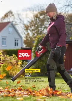 Jula - erbjudanden - Förhandsvisning av reklamblad från butik Jula aktuell från 16.10.2025 | Sida: 17 | Produkter: Lövblås