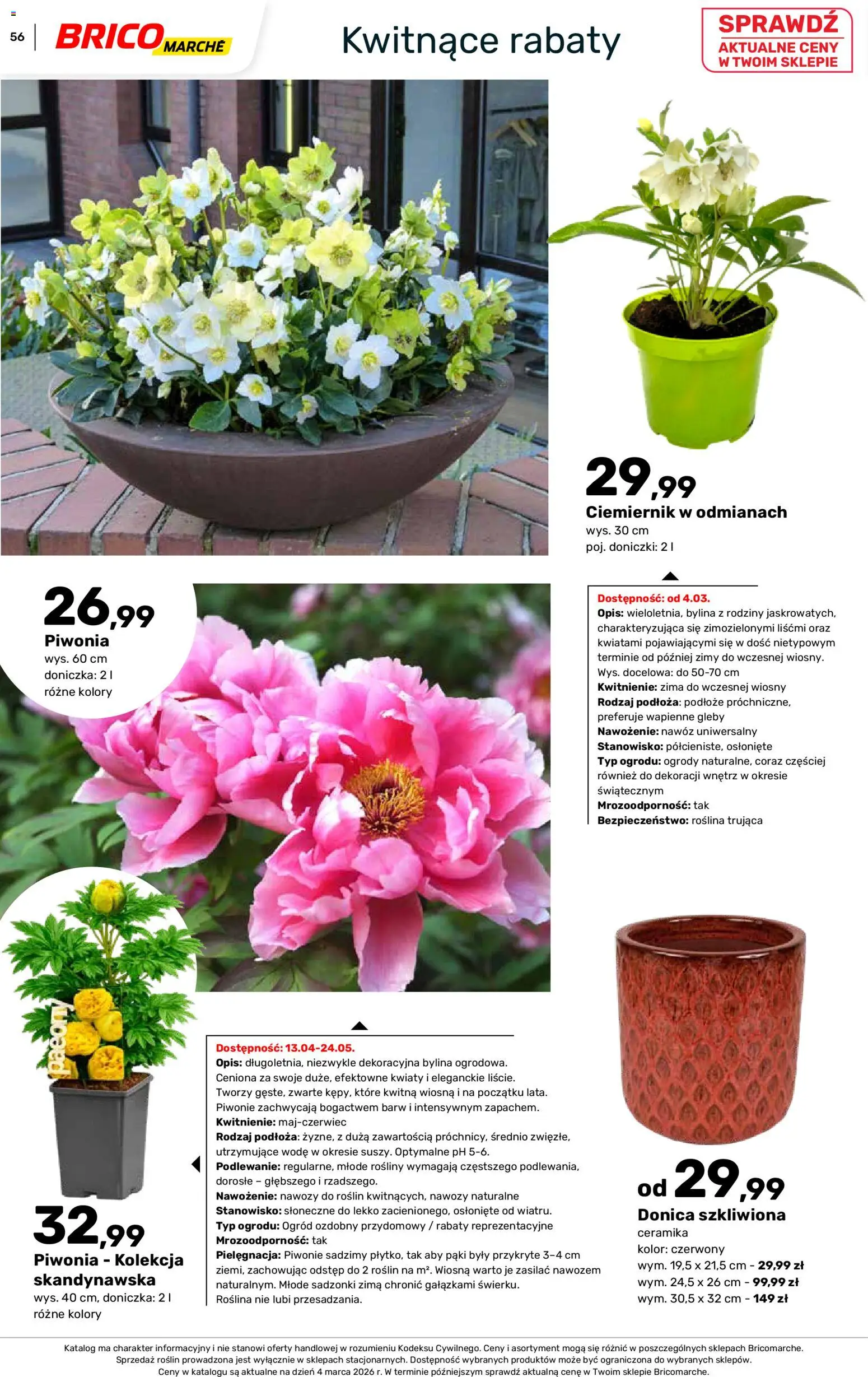 Brico Marché gazetka - Wiosna od 04.03.2026 | Strona: 56 | Produkty: Doniczka, Rosliny, Doniczki, Kwiaty