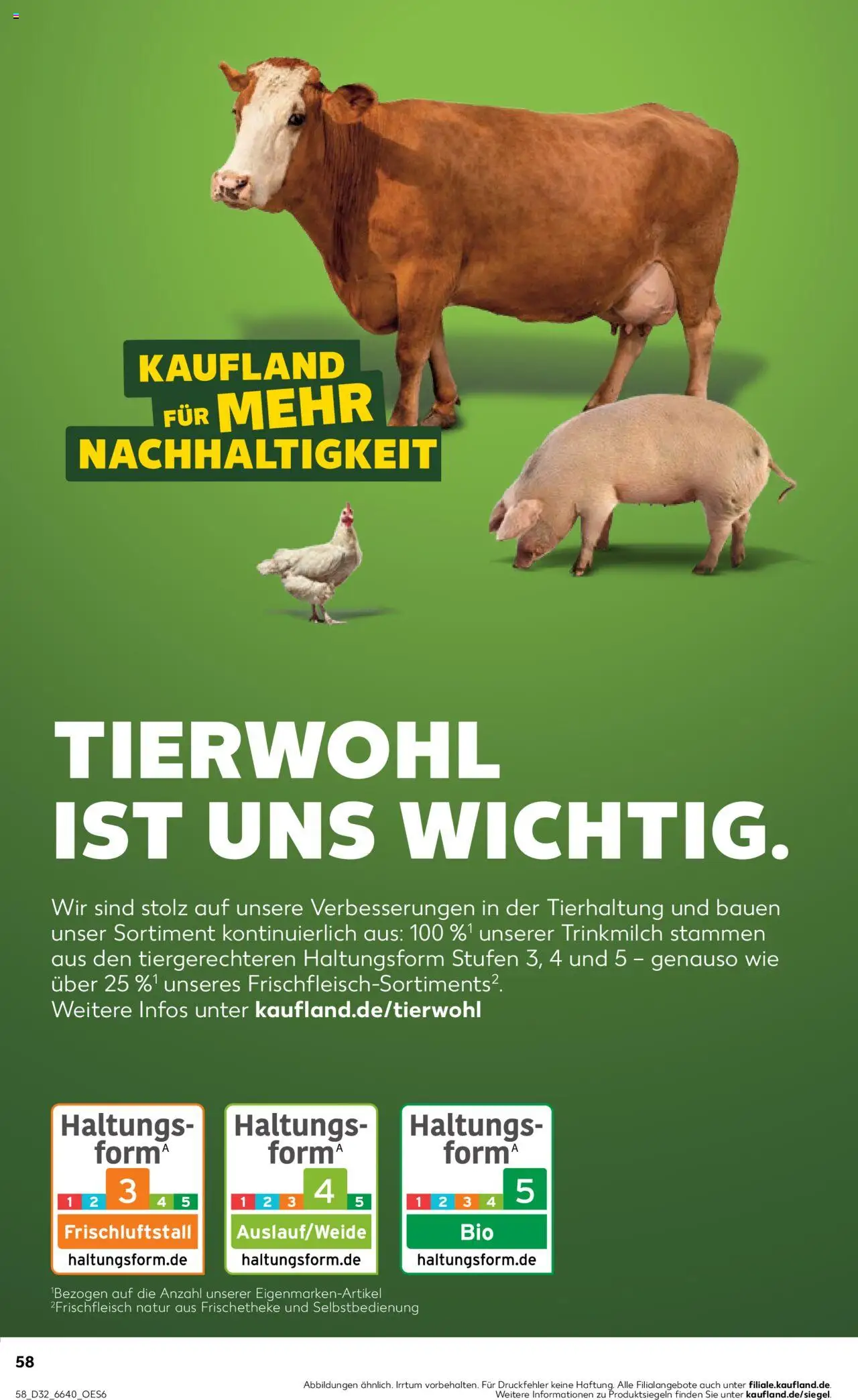 Kaufland prospekt Speyer	 - gültig ab dem 07.08.2025 | Seite: 58