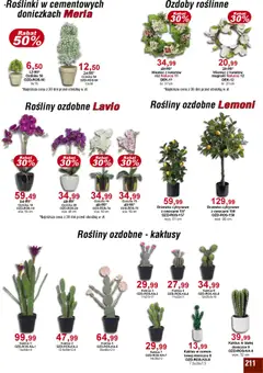 Bodzio Katalog od 01.04.2025 | Strona: 211 | Produkty: Drzewko cytrynowe, Wieniec, Rosliny, Róż