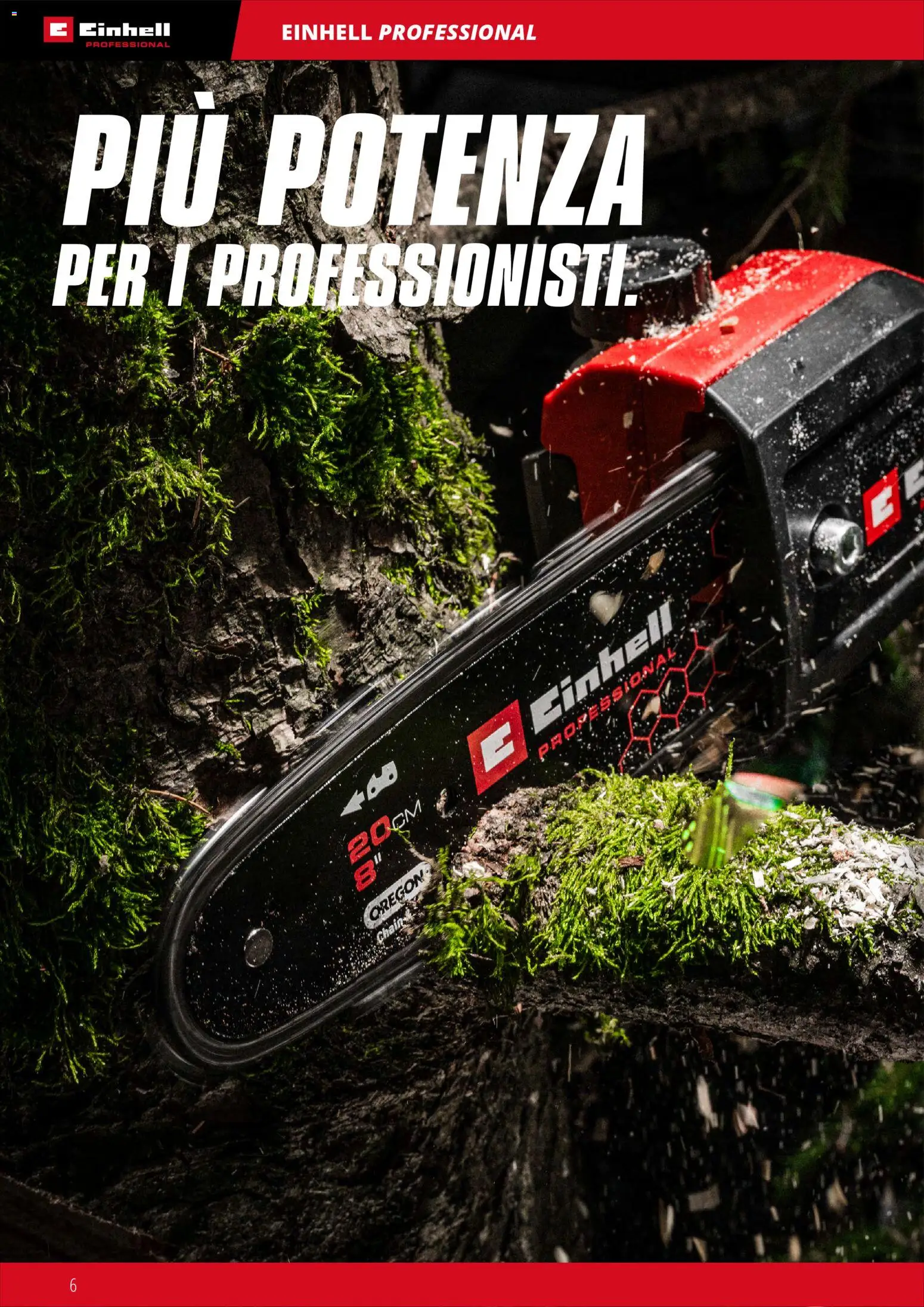 Volantino Einhell del 17.03.2026 | Pagina: 8