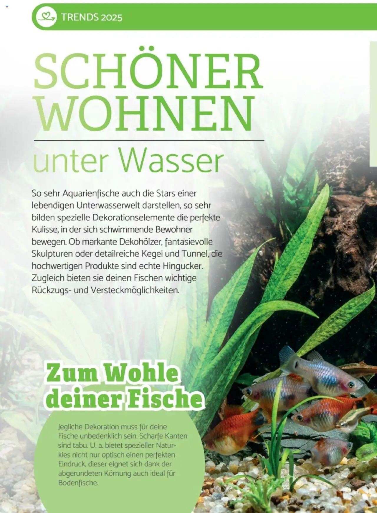 zookauf Heimtier Journal Special – gültig ab 01.09.2025 | Seite: 12 | Produkte: Wasser