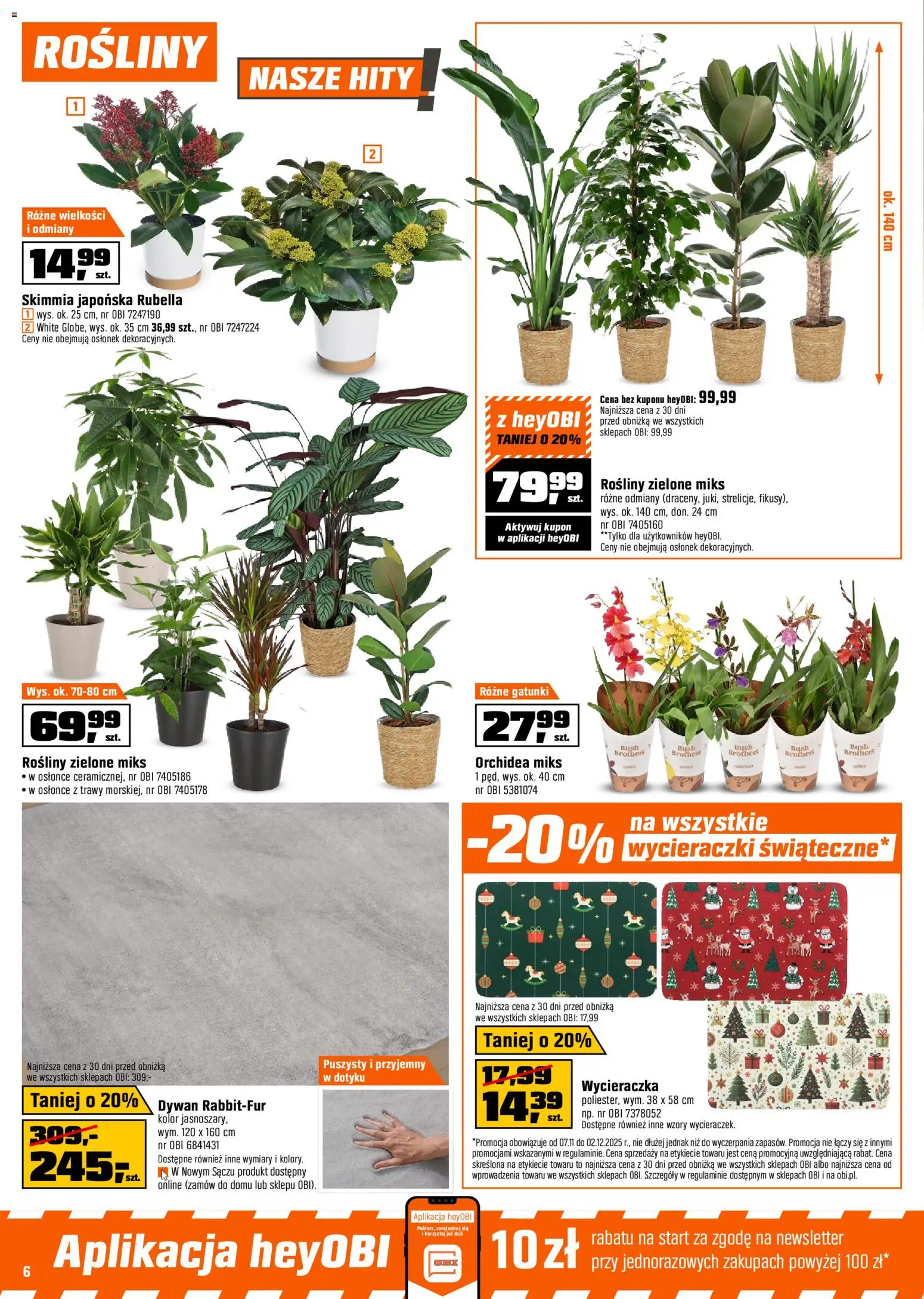 OBI Gazetka od 07.11.2025 | Strona: 6 | Produkty: Trawy, Dywan, Wycieraczka, Rosliny