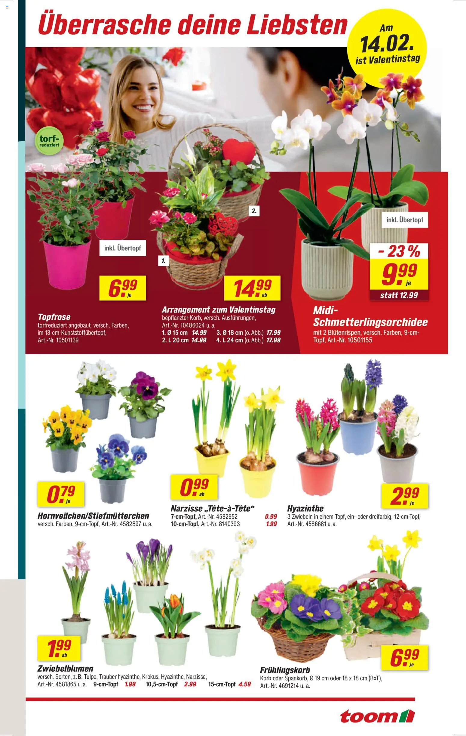 Toom Baumarkt Prospekt 	 – gültig ab 07.02.2026 | Seite: 3 | Produkte: Korb, Zwiebeln