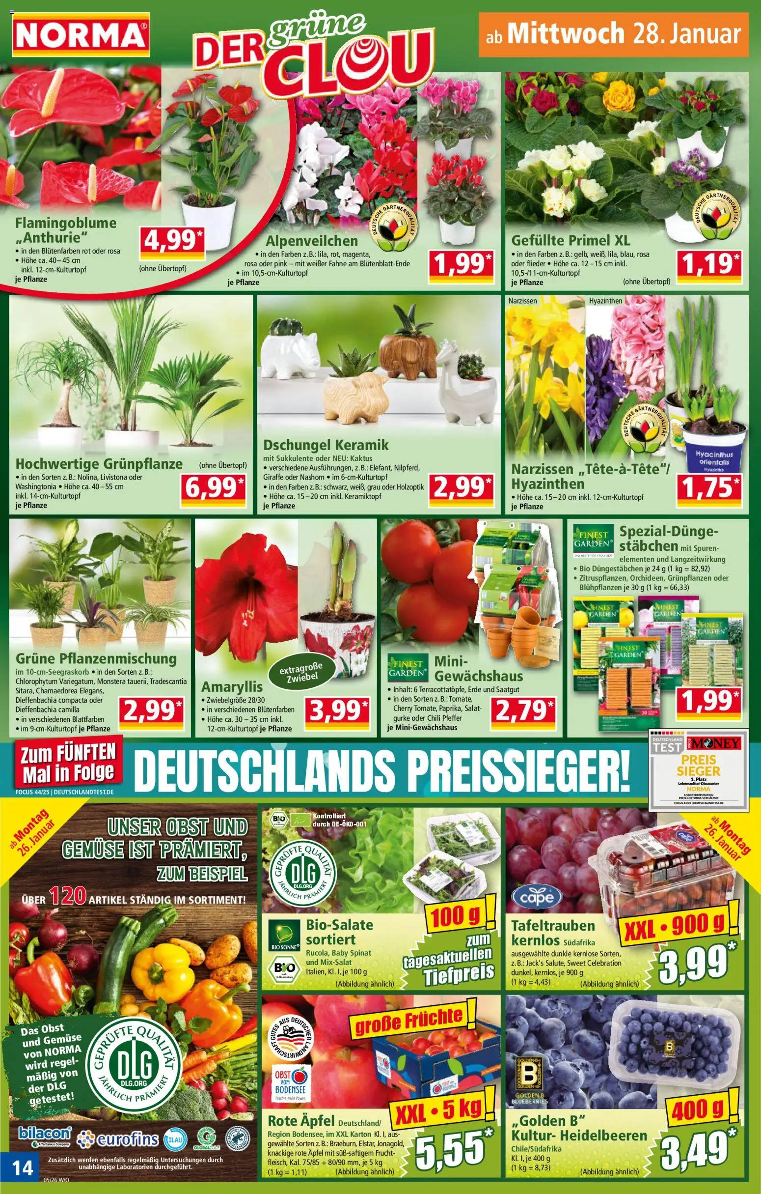 Norma Prospekt 	 – gültig ab 26.01.2026 | Seite: 14 | Produkte: Äpfel, Obst, Chili, Salat