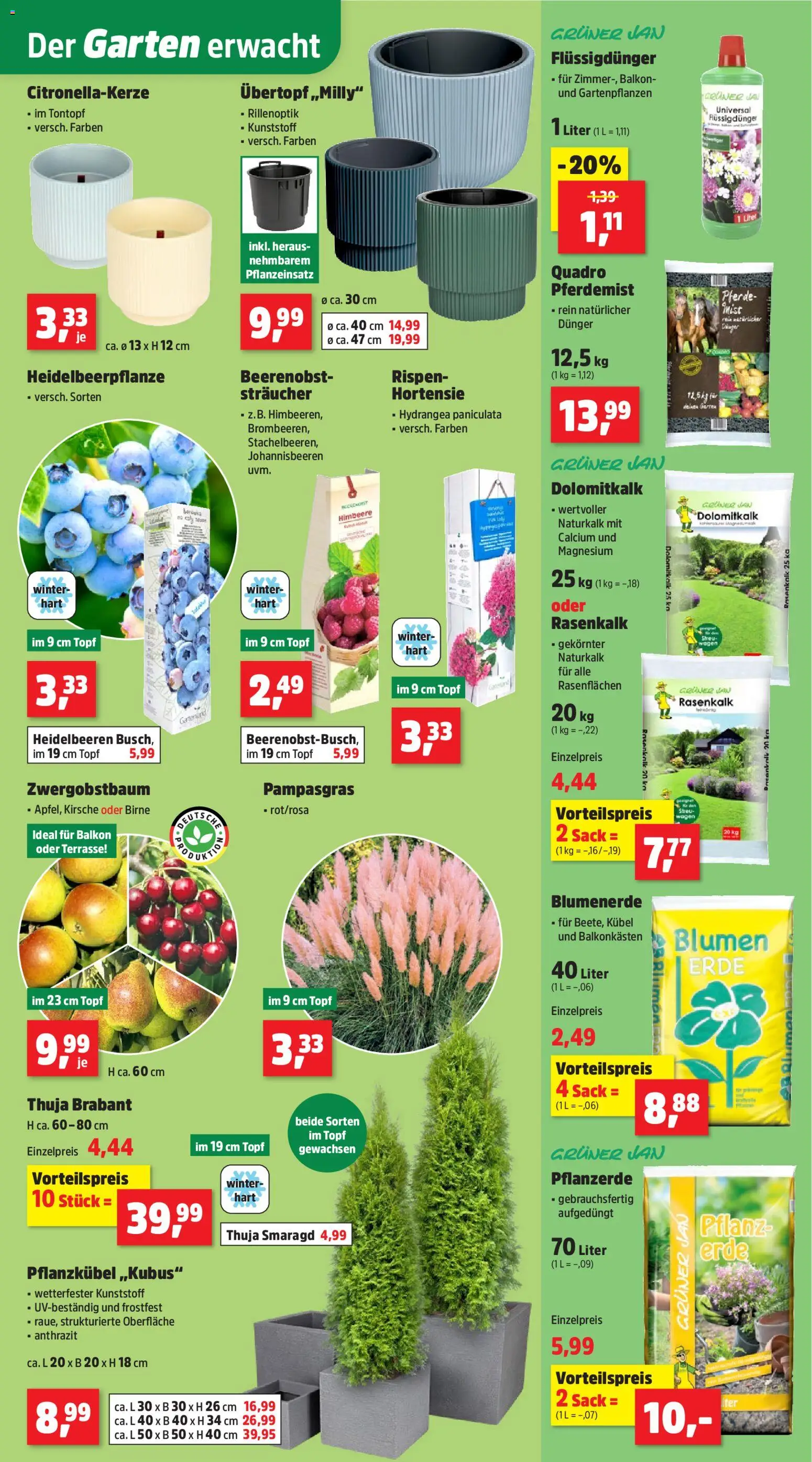 Thomas Philipps Prospekt – gültig ab 09.03.2026 | Seite: 5 | Produkte: Pflanzerde, Heidelbeeren, Blumenerde, Himbeere