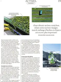 Migros Magazin FR ab 17.11.2025 gültig | Seite: 19