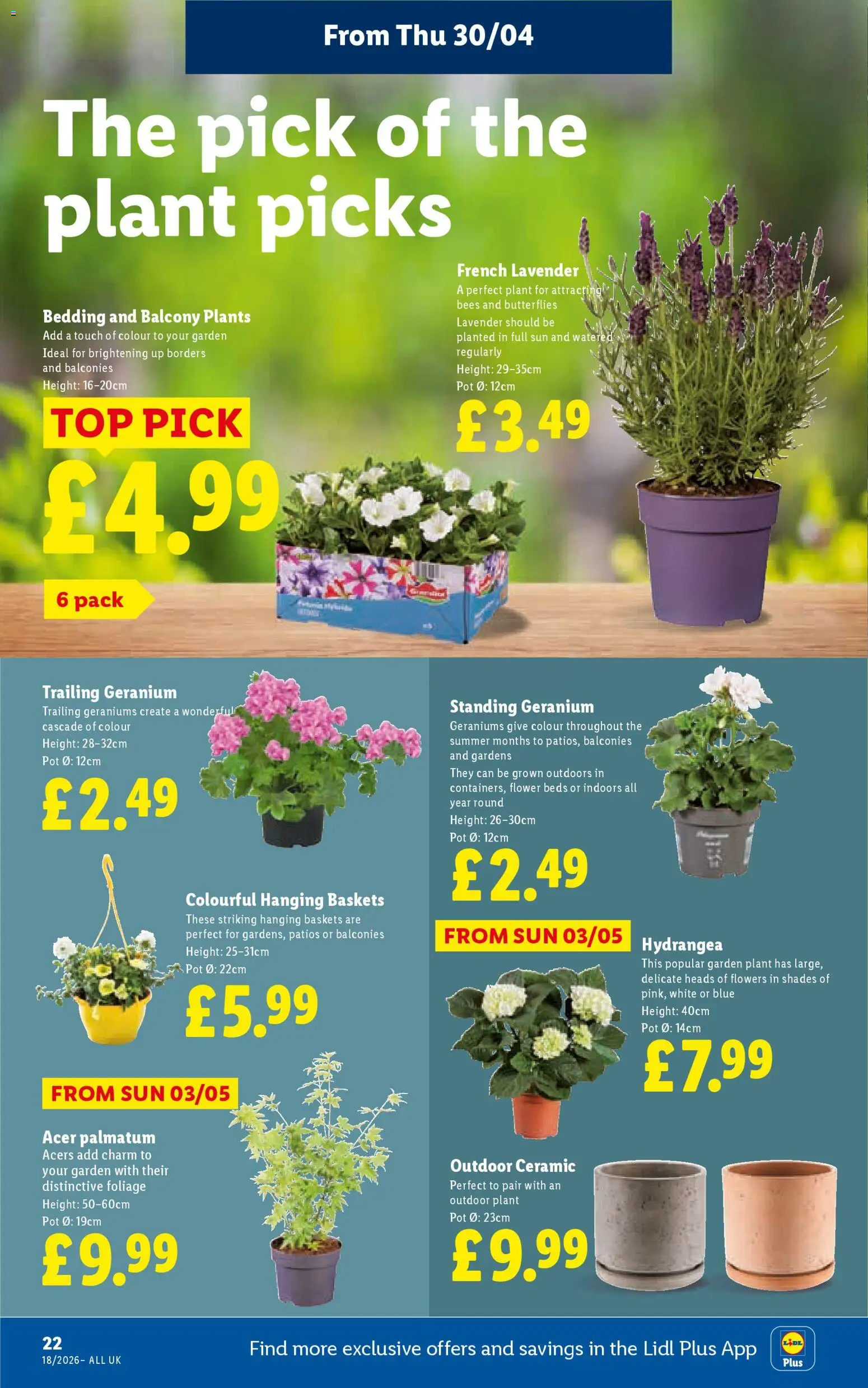 Do you know WHAT OFFERS await you at Lidl? View the May flyer online! | United Kingdom