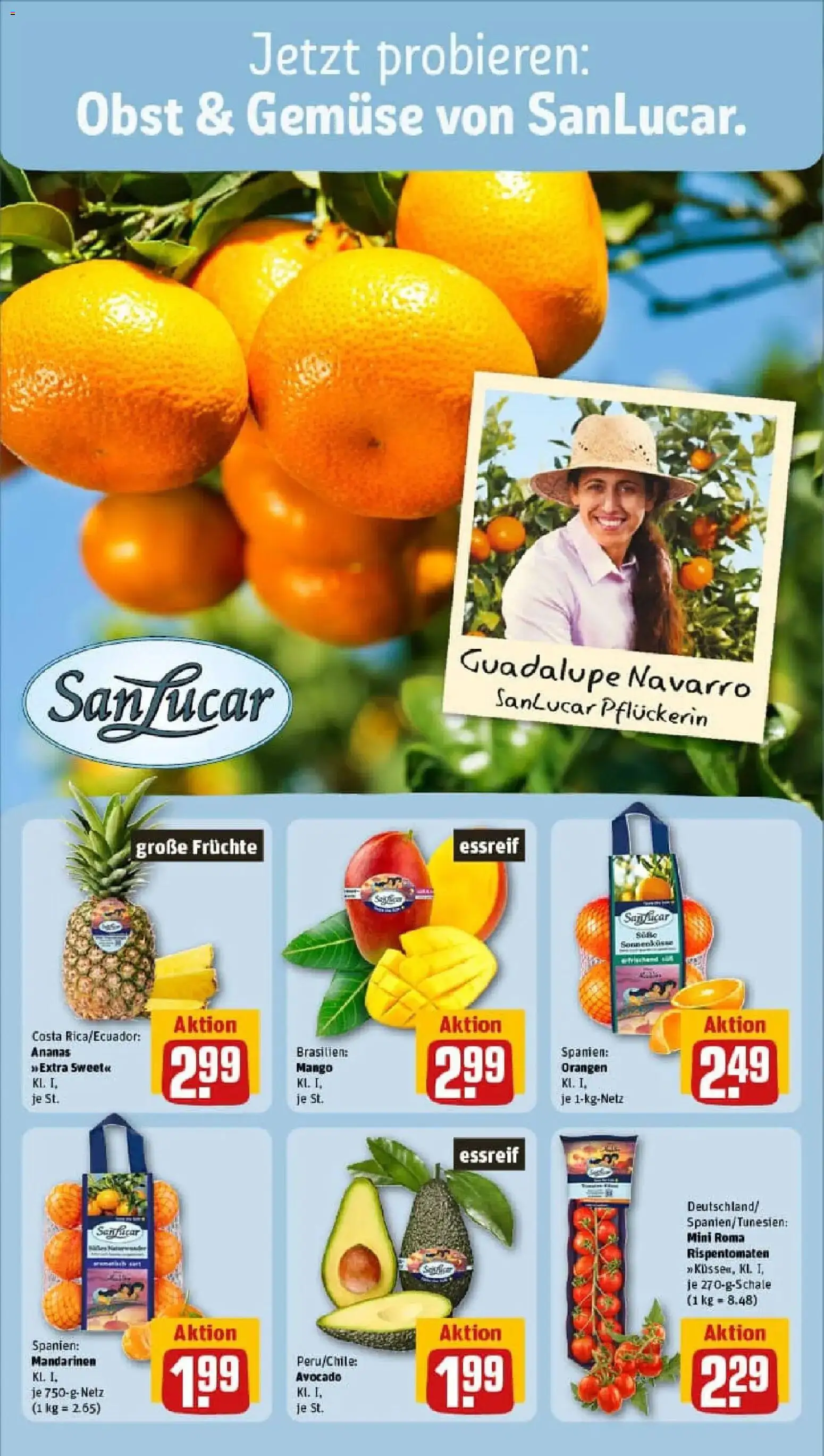 Rewe prospekt Esslingen/Stadtmitte	 – gültig ab 17.11.2025 | Seite: 8 | Produkte: Orangen, Avocado, Gemüse, Mango