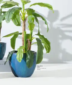 01.01.2026 tarihinden itibaren geçerli olan Mudo kataloğu önizlemesi | Sayfa: 43