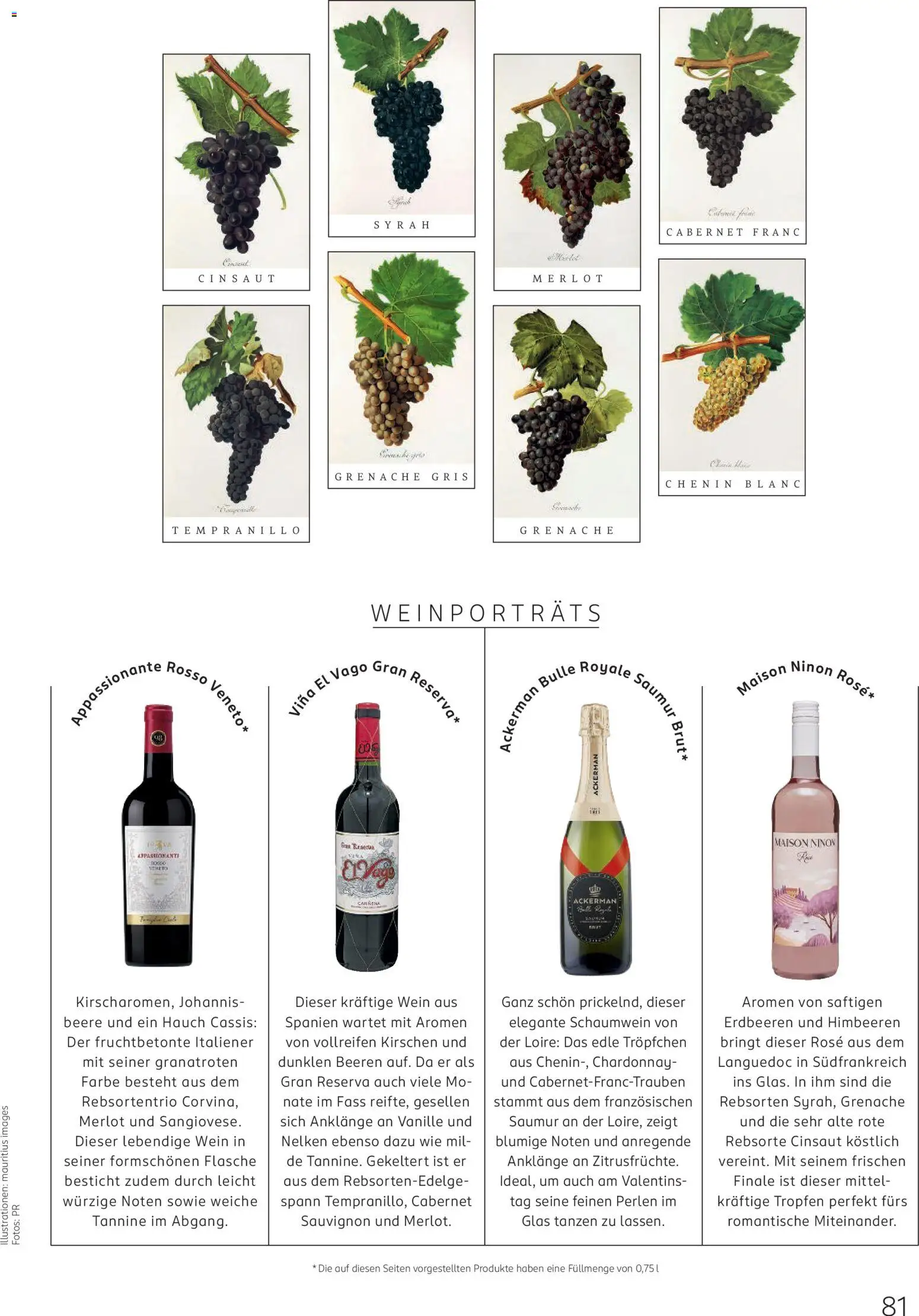 Rossmann Centaur – gültig ab 01.02.2026 | Seite: 81 | Produkte: Himbeeren, Kirschen, Wein, Erdbeeren