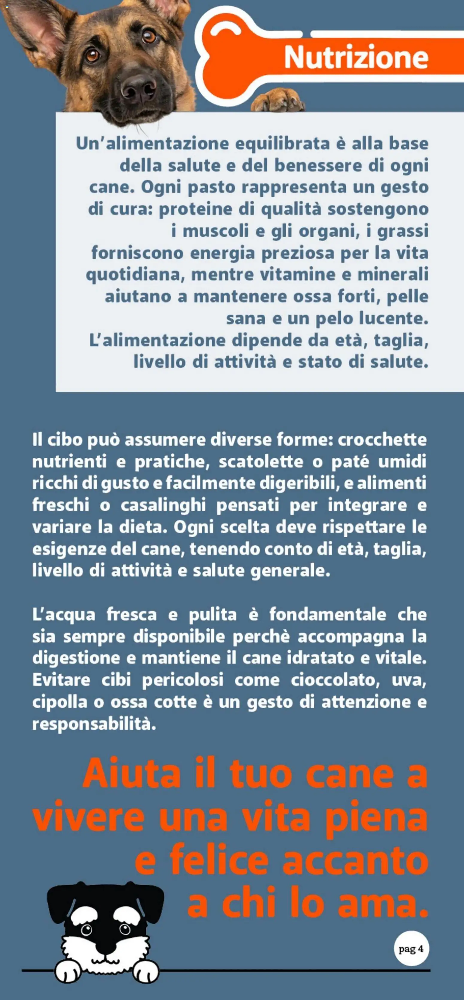 Volantino DOK del 24.10.2025 | Pagina: 4 | Prodotti: Paté, Crocchette