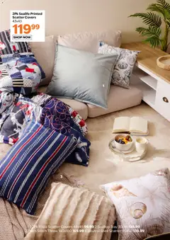 Sheet Street specials catalogue – valid from 04.12.2025 | Page: 6 | Products: Tray