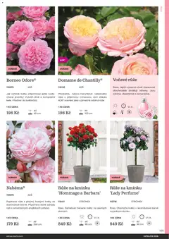 Náhled letáku Starkl katalog od 25.02.2026 | Strana: 105