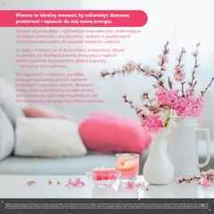 Pogląd oferty "Stokrotka gazetka - Grill" - ważna od 23.04.2026 | Strona: 11 | Produkty: Stokrotka, Rośliny doniczkowe, Rosliny, Tekstylia