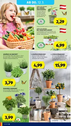 Hofer Flugblatt ab 04.03.2026 gültig | Seite: 40 | Produkte: Gewürze