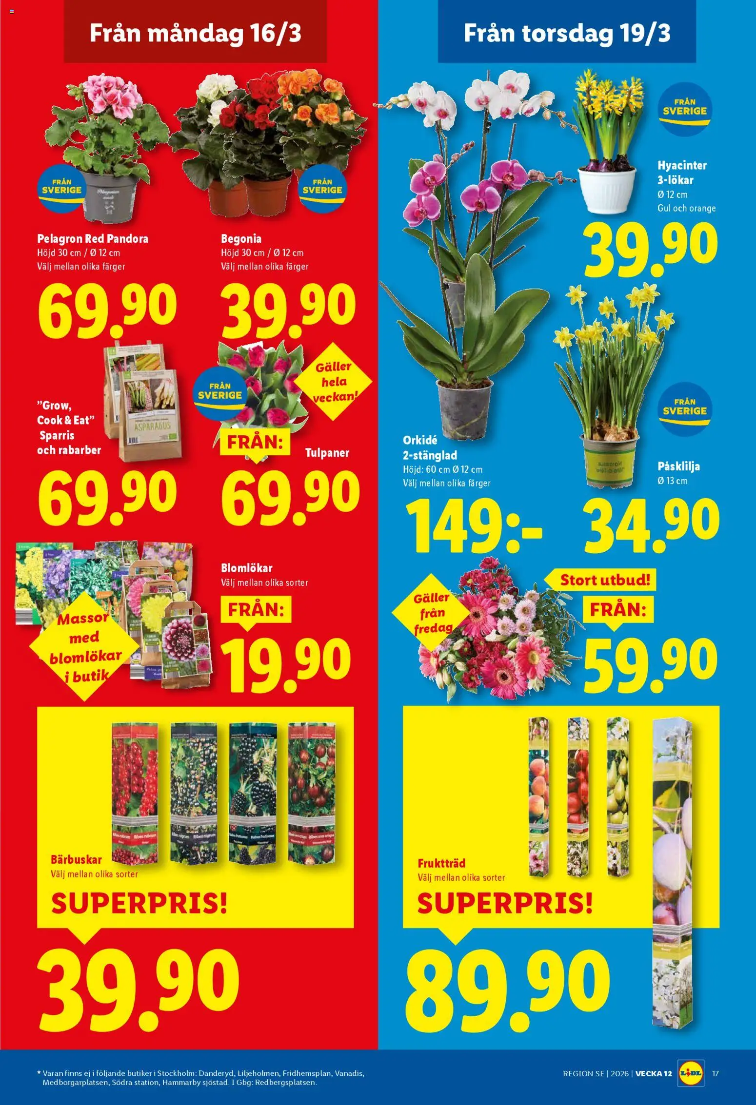 Lidl reklamblad aktuell från 16.03.2026 | Sida: 20 | Produkter: Galler, Fruktträd, Sparris