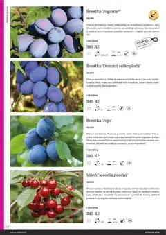 Náhled letáku Starkl katalog od 25.02.2026 | Strana: 122