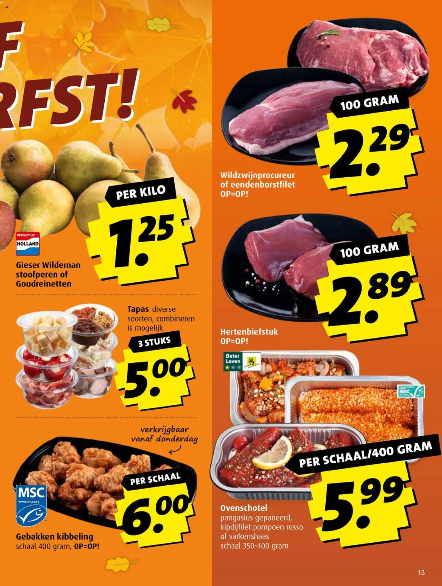 {H1} | Pagina: 13 | Producten: Pompoen, Schaal