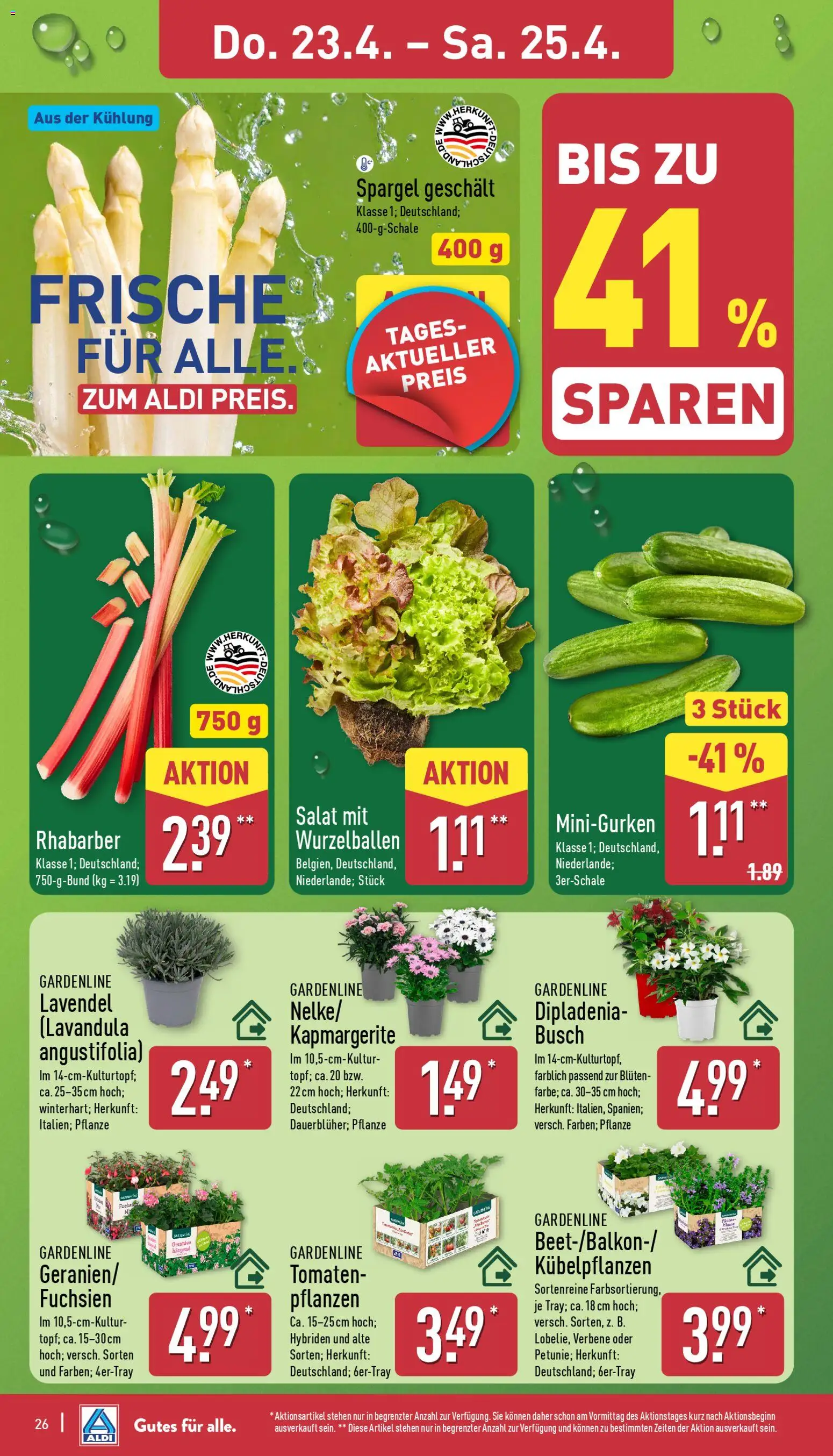 Aldi Prospekt 	 – gültig ab 20.04.2026 | Seite: 26