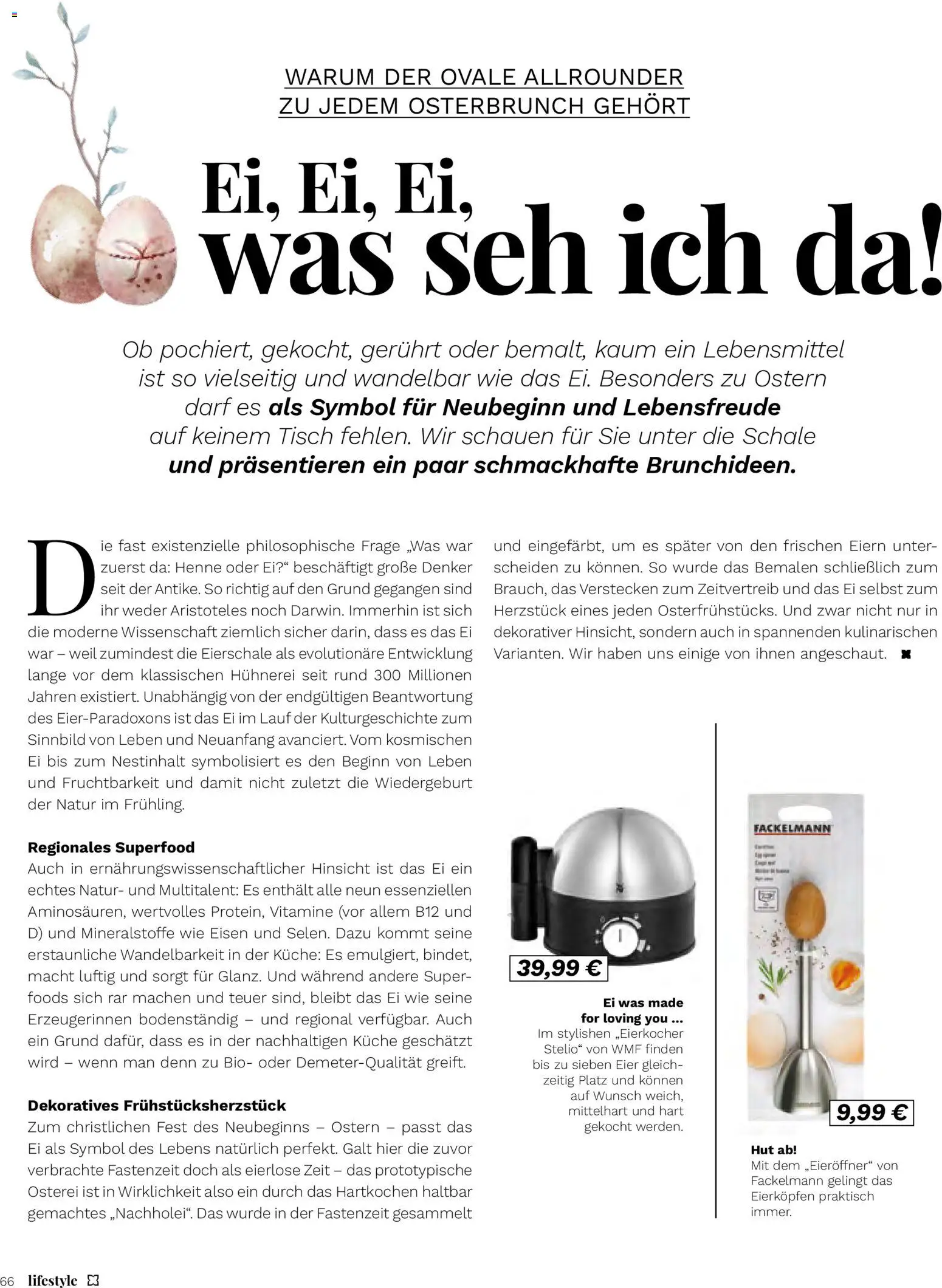 Müller Lifestyle – gültig ab 12.03.2026 | Seite: 66 | Produkte: Eier, Tisch, Hut, Eierkocher